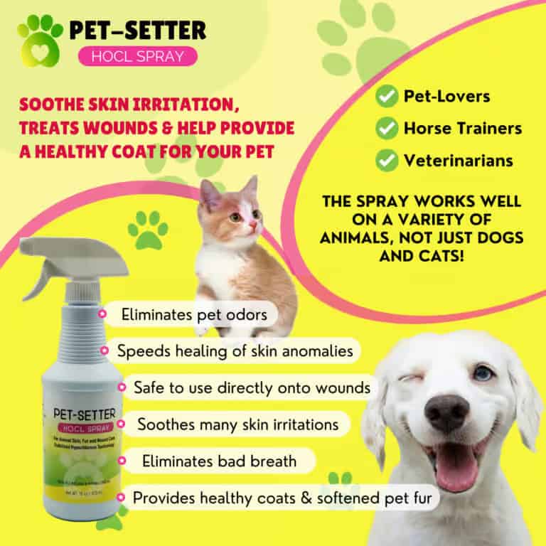 Benefits of Pet Setter